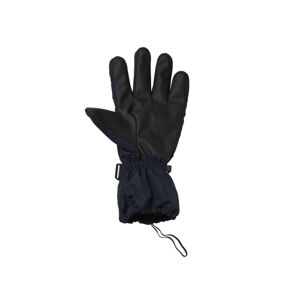 CRIVIT Pánske lyžiarske rukavice (8,5, čierna/klasické rukavice)